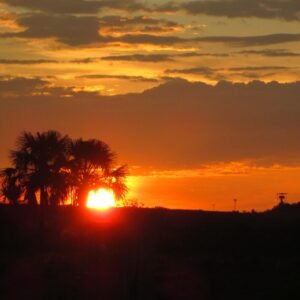 sunset, ranger, landscape